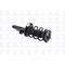 Fcs Struts COMPLETE STRUT ASSEMBLY 3335876L - alternate 5
